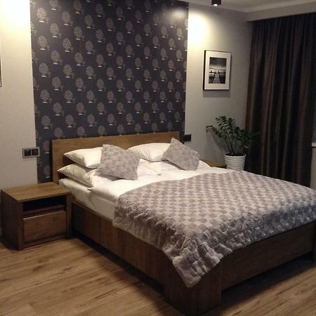 Apartament Studencka 耶莱尼亚古拉 外观 照片